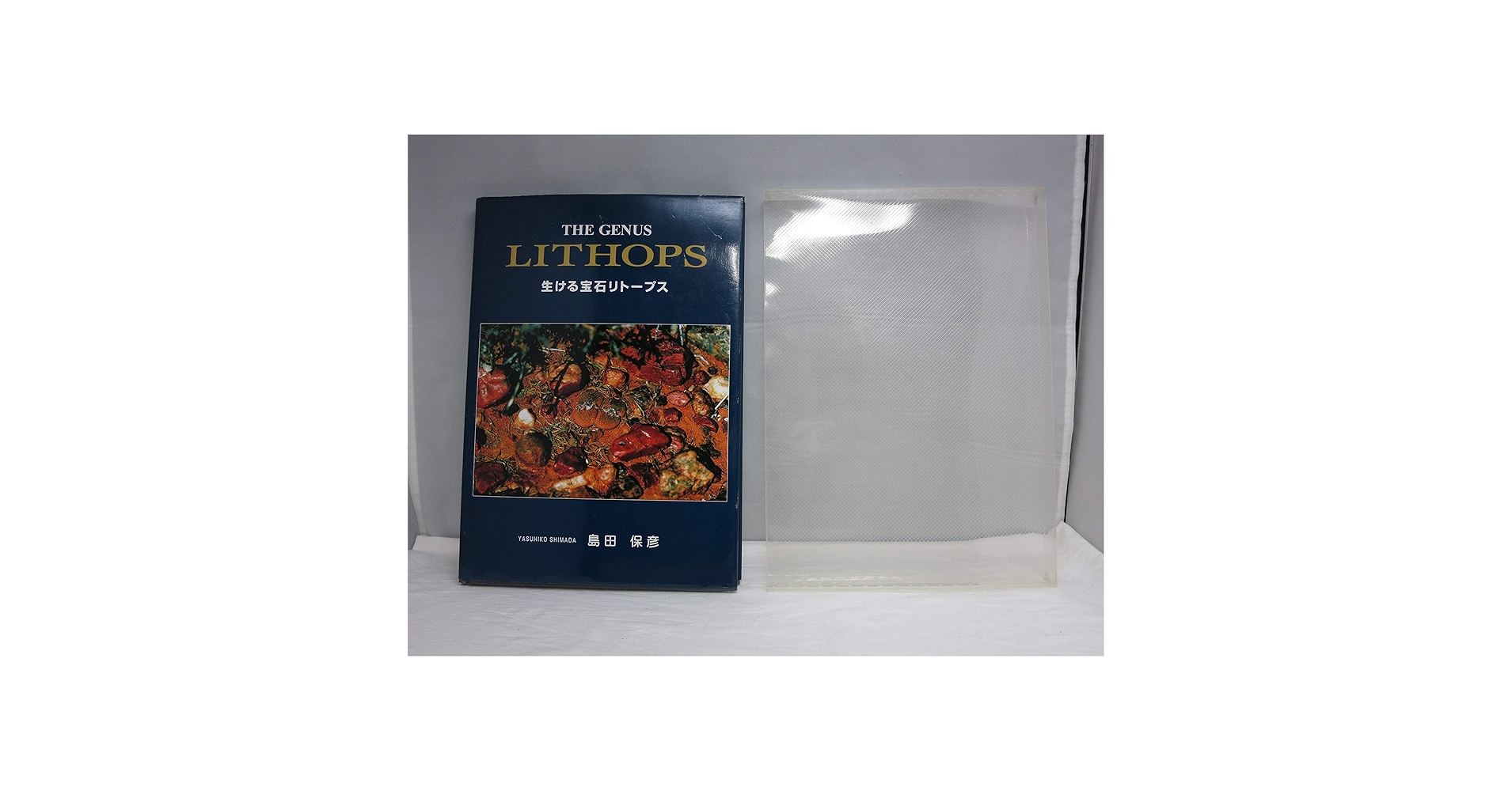 THE GENUS LITHOPS 生ける宝石リトープス Amazon.co.jp: 生ける宝石リト-プス : 島田保彦(1928生): 本